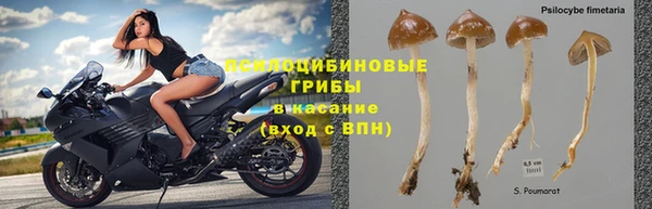 сатива Алексеевка