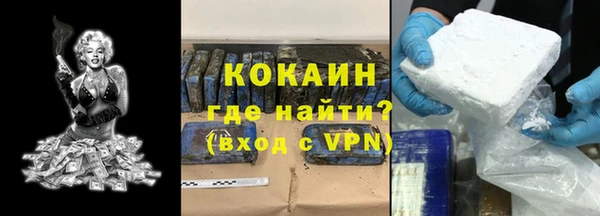 крисы Абаза