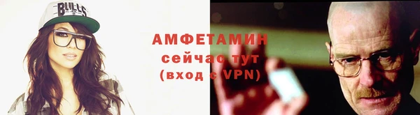 крисы Абаза