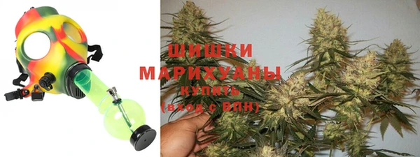 сатива Алексеевка