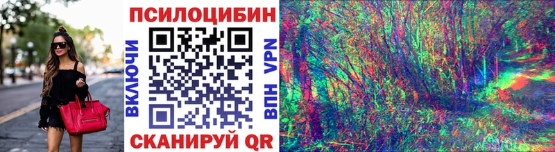 Псилоцибиновые грибы Psilocybine cubensis купить наркотик Тырныауз