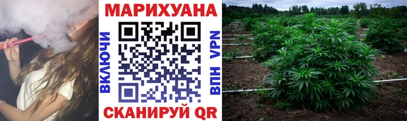 KRAKEN как зайти  Тырныауз  Бошки марихуана тримм 